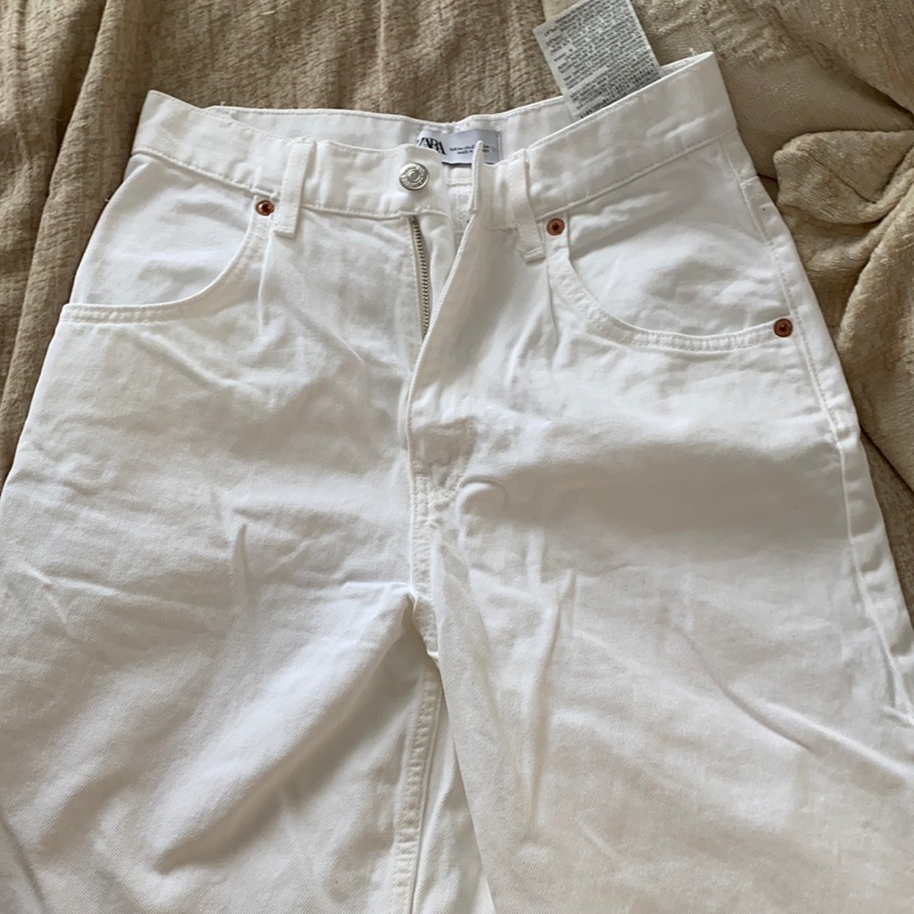 Zara wide leg baggy pants. Size 2. Never worn.